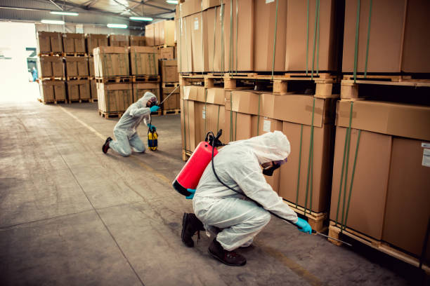 Best Wildlife Control Services  in Bishop, TX