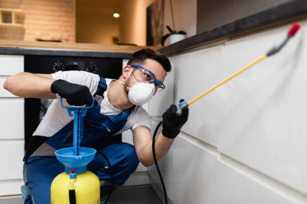 Best Pest Control Near Me in Bishop, TX