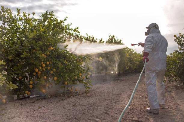 Best Wildlife Control Services  in Bishop, TX