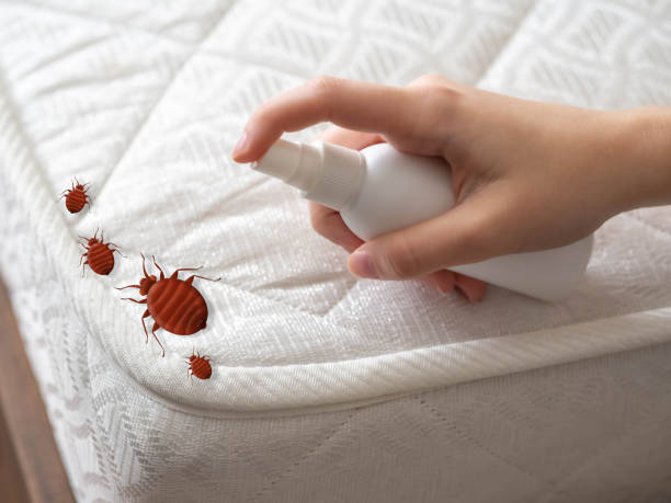 Best Pest Prevention Services  in Bishop, TX