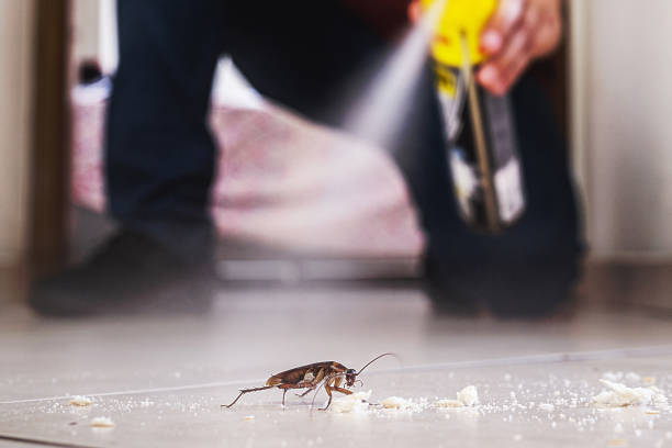 Wildlife Control Services in Bishop, TX