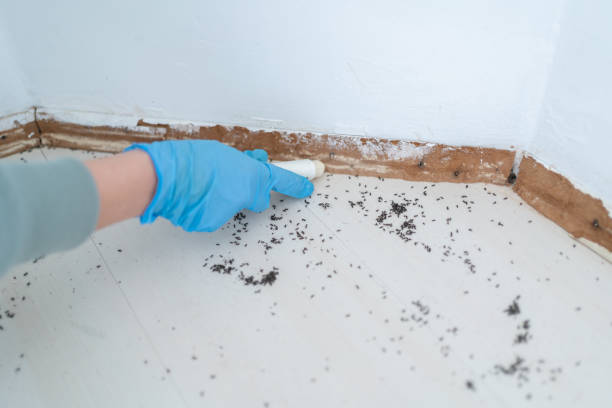 Bishop, TX Pest Control Company